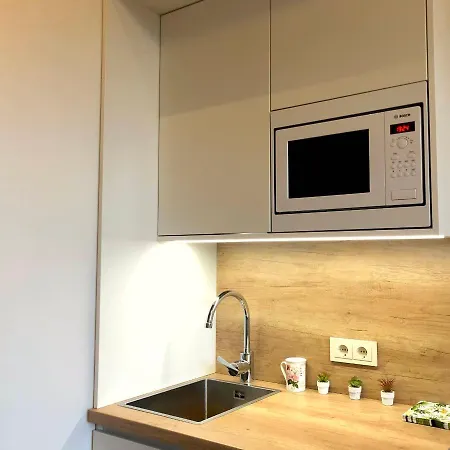 Centrally Located Overlooking Vermanes Park * Riga