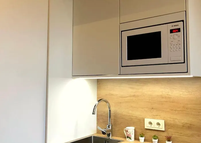 Centrally Located Overlooking Vermanes Park * Riga